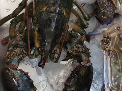 -众彩物流水产市场