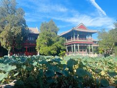 -莲池书院博物馆