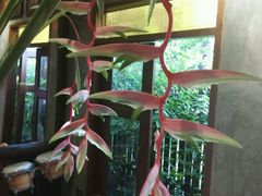 -Dash Teak House