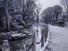-朴园