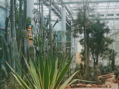 -郑州植物园
