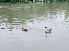 -花园茶楼(兴城西路店)