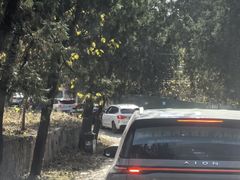 -泰山风景名胜区-普照寺