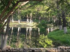 -长白岛森林公园