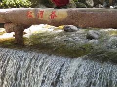 -陕西省红河谷森林公园
