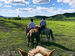 -塞罕坝国家级自然保护区