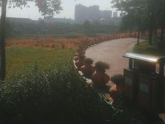 -那考河湿地公园