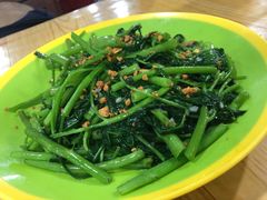 空心菜-Bờ kè Nhật Thi