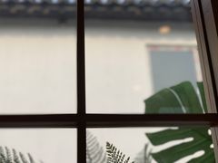 -猫的天空之城概念书店(苏州平江店)