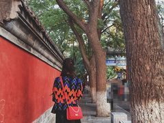 -北京国子监胡同
