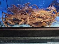 -阿伟海鲜楼·福建菜(延寿店)