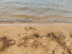 -长春市南湖公园