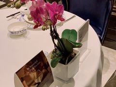 -Yan Ting 宴庭中餐厅(上海静安瑞吉酒店)