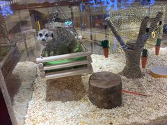 -百分茶(九洲新世界店)