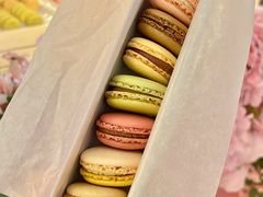 -Pierre Marcolini(德基广场店)