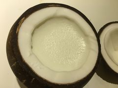 -志龙皇冠吃货椰子铺