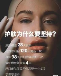 -玛莲朵·海菲秀冰珀科