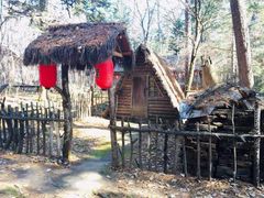 -五营红松林海景区