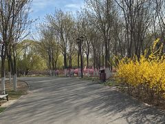 -永定河休闲森林公园