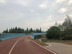 -白鹭湾湿地公园