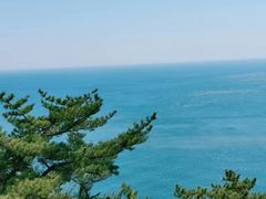 -棒棰岛宾馆景区