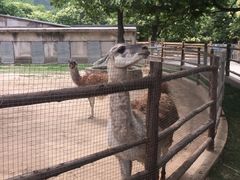 -西安秦岭野生动物园