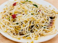 炒豆芽-三中高皇羊肉馆