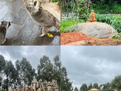 -云南野生动物园