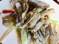 -福苗小骆驼烧烤(太奥广场店)