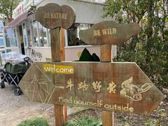 -上海海湾国家森林公园