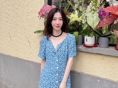 -岭南站NOVA