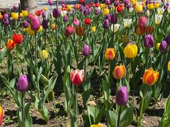 -长春公园(普阳街道)