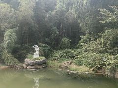 -长沙黑麋峰国家森林公园