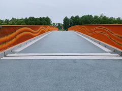 -南汇新城城市公园