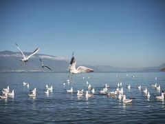 -崇圣寺三塔文化旅游区