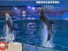 -泉城欧乐堡海洋极地世界