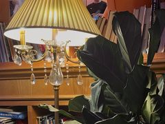 -范设计花园餐酒咖·中西餐·咖啡厅·酒馆