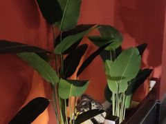 -解家河南菜(金水路店)