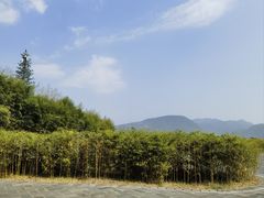 -和顺柏联温泉