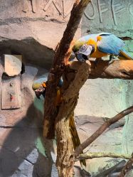 -Zoolung Zoolung动物主题公园(海信广场店)