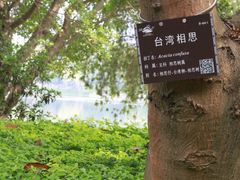 -南宁南湖公园