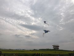 -光明小镇欢乐田园