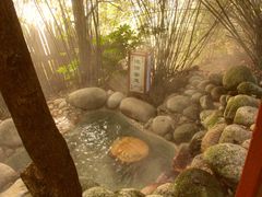 -三江森林温泉度假区