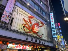 -蟹道乐(道顿堀本店)