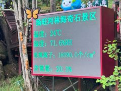 -汤旺河林海奇石景区