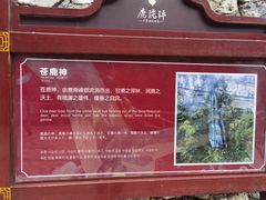 -鹿院坪生态旅游景区
