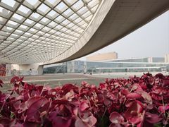 -国际非物质文化遗产博览园