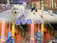 -郑州银基冰雪世界