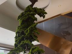 -正清和·推拿养生(二七广场店)