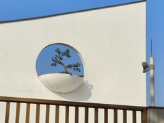 -长洲岛